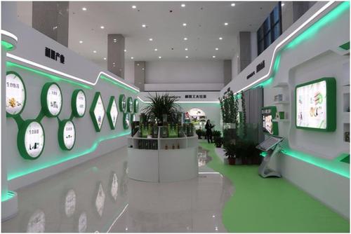 周口市電商扶貧結碩果 企業項目孵化帶動百姓增收成效顯著